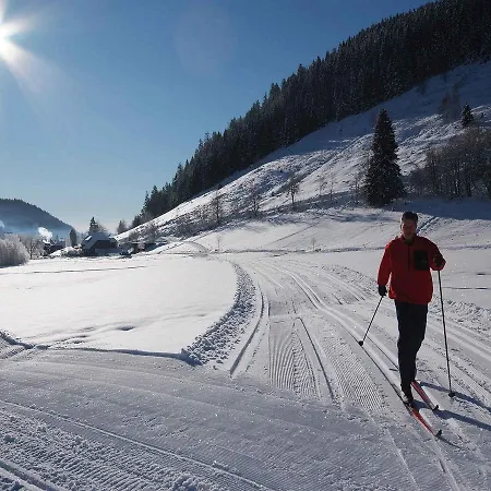 Klosterhof 3* St. Blasien