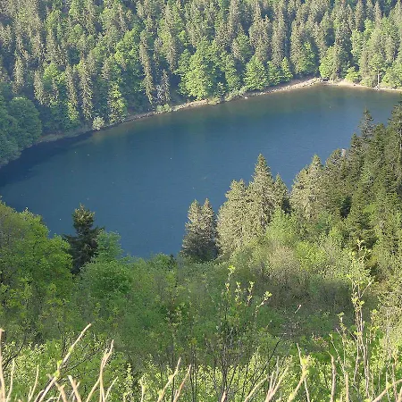 Hotel Klosterhof St. Blasien